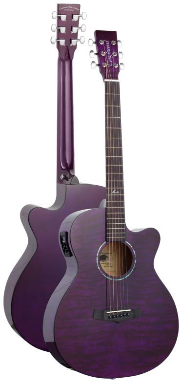 Tanglewood Azure Acoustic Guitar